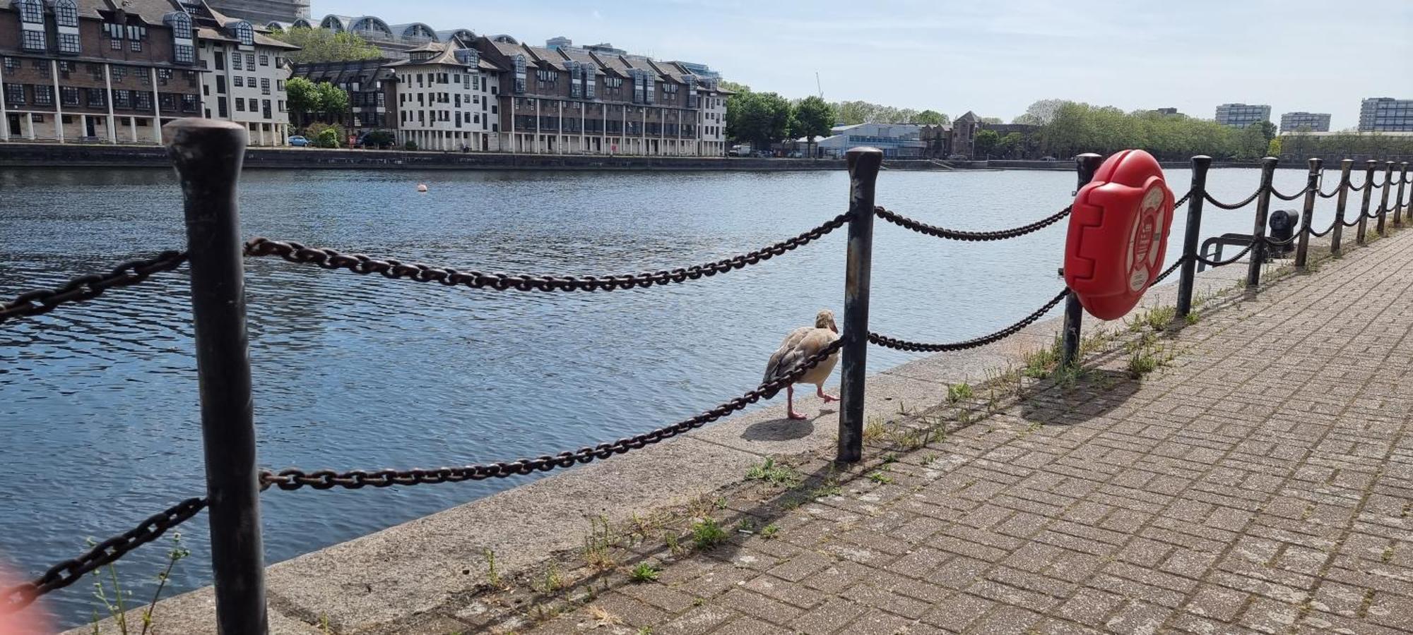 Riverside 3Br With Easy Transport 20Mins To City Centre London Kültér fotó