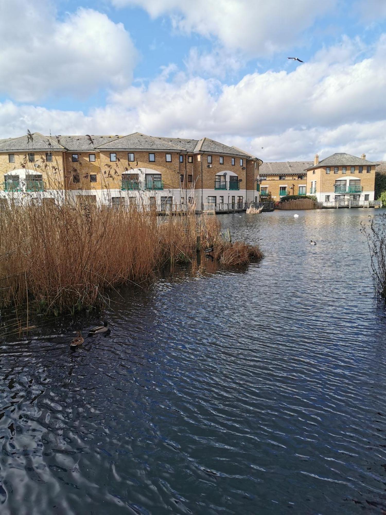 Riverside 3Br With Easy Transport 20Mins To City Centre London Kültér fotó